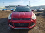 Ford Escape 2013