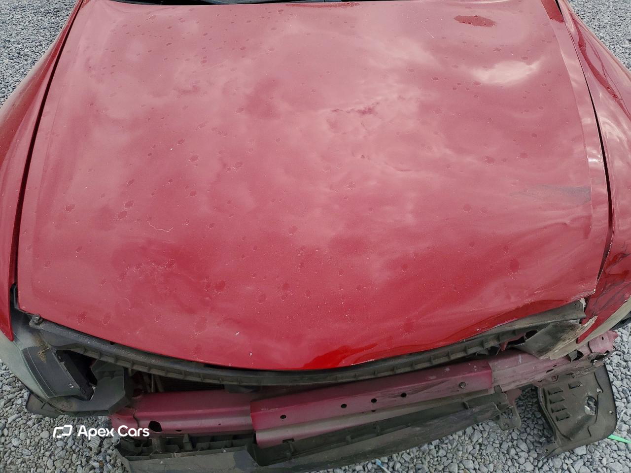 Honda Accord 2010
