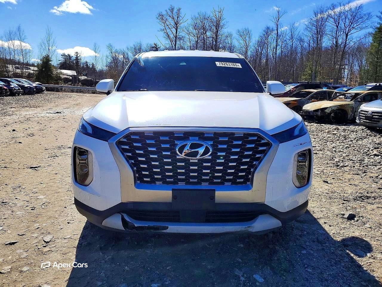 Hyundai Palisade 2021