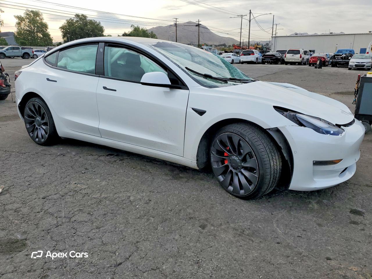 Tesla Model 3 2021