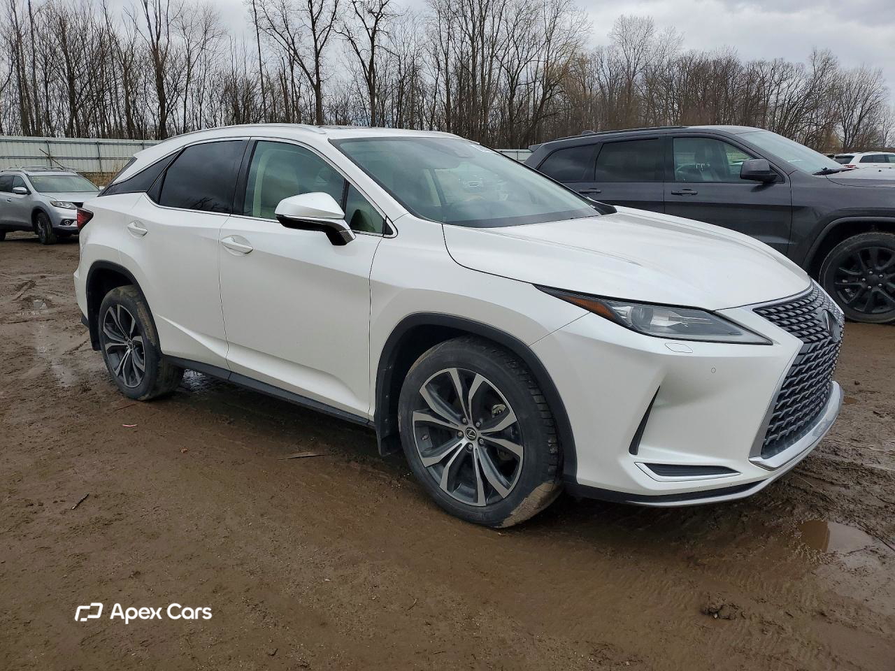 Lexus RX 2020