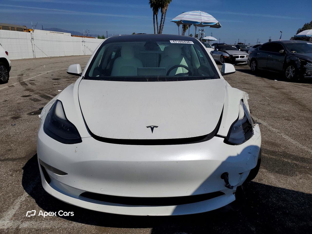 Tesla Model 3 2021