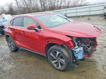 Lexus NX 2019