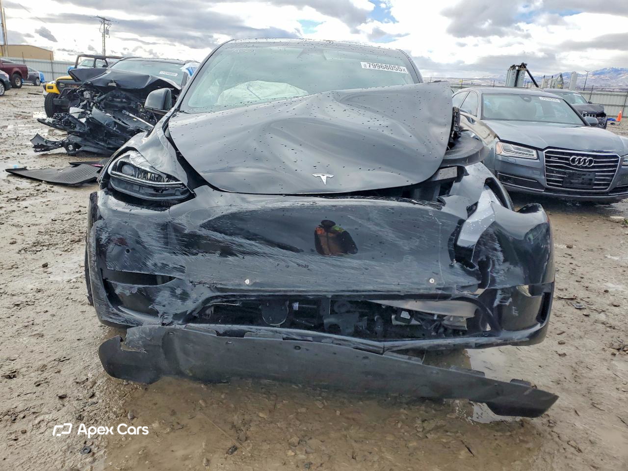 Tesla Model Y 2022