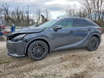 Lexus RX 2025