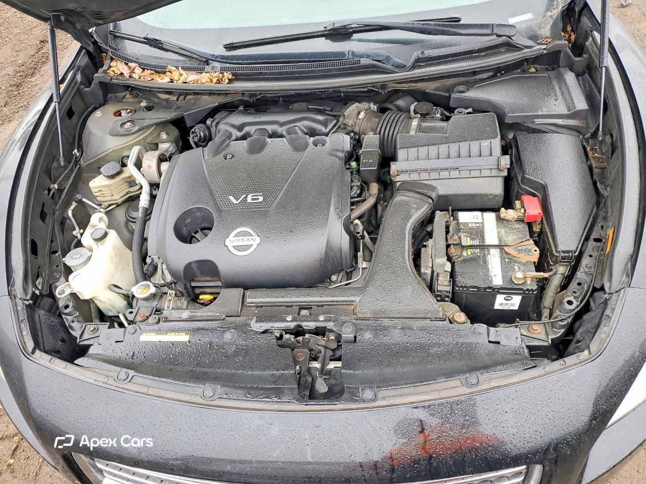 Nissan Maxima 2011