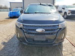 Ford Edge 2013