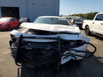Dodge Charger 2019