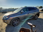 Lexus RX 2013