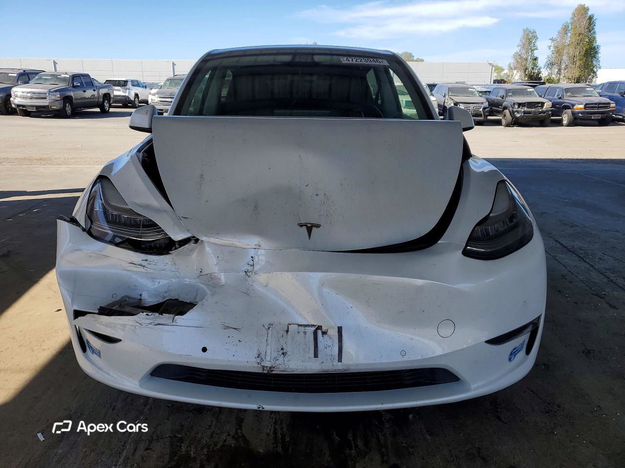 Tesla Model Y 2021