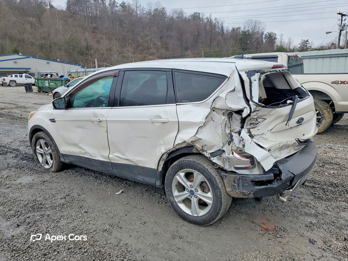 Ford Escape 2014