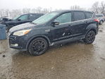 Ford Escape 2013