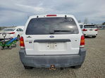 Ford Escape 2007