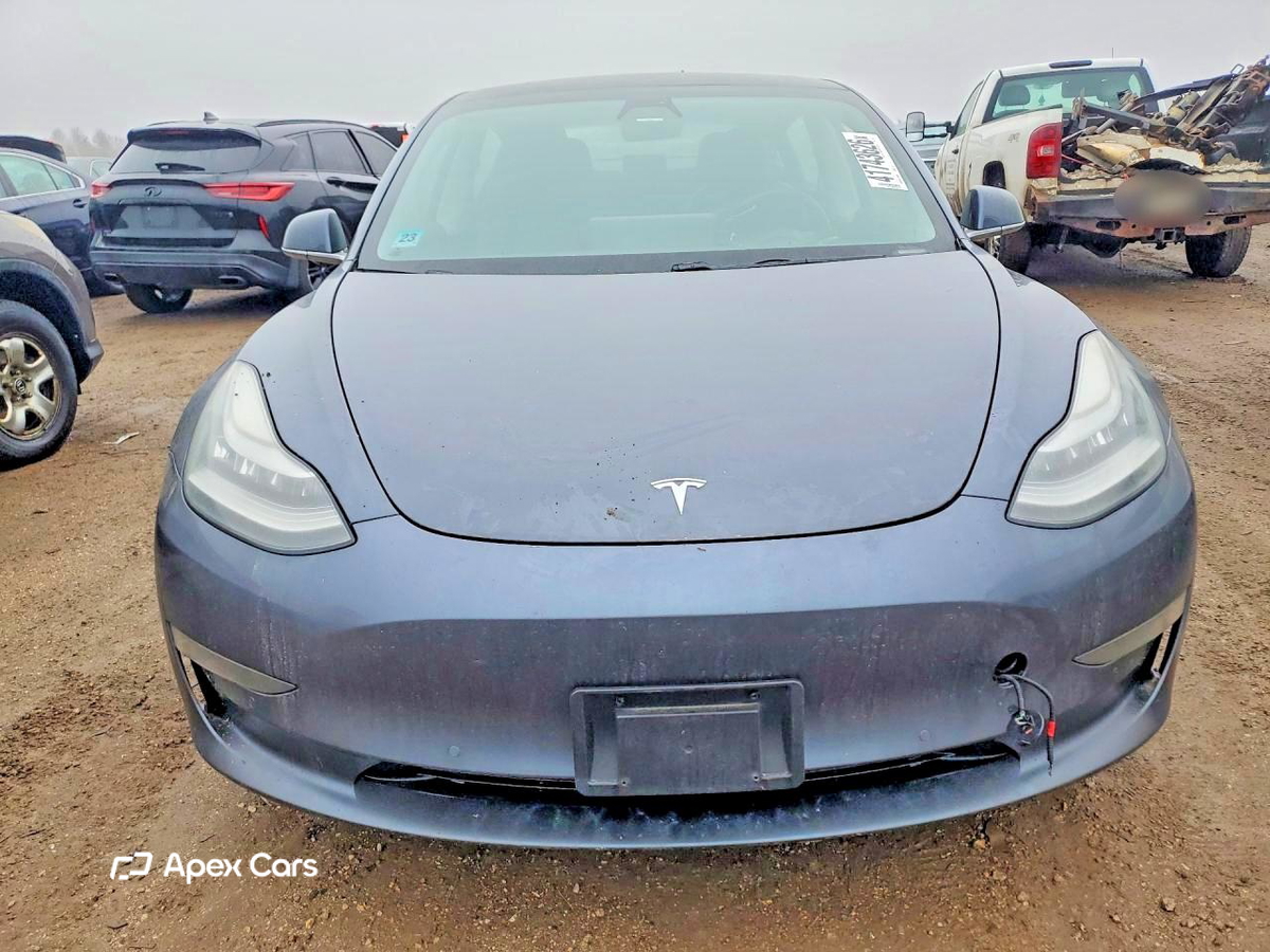 Tesla Model 3 2019