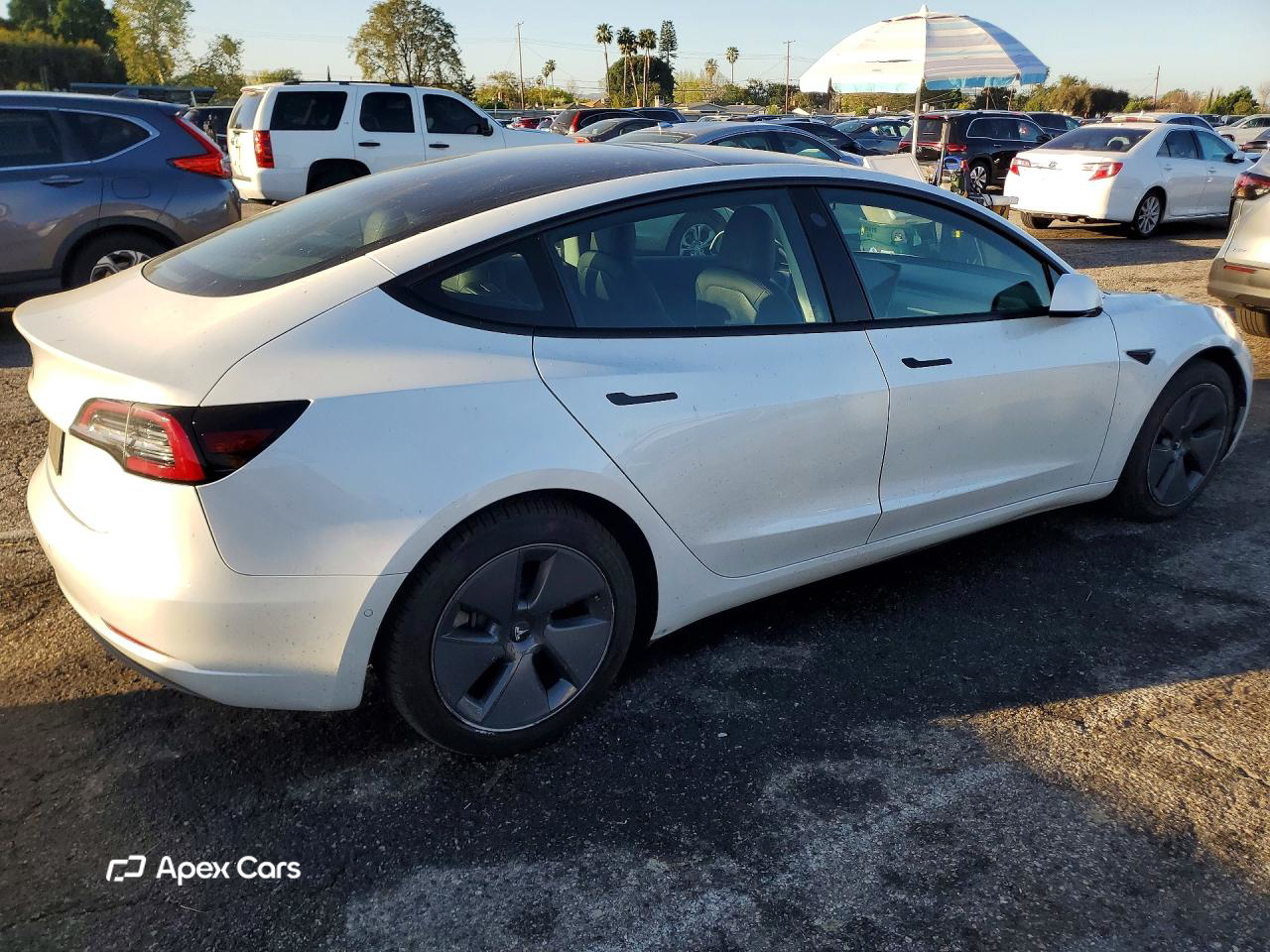 Tesla Model 3 2021