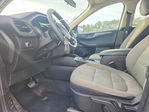 Ford Escape 2020