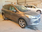 Ford Escape 2013