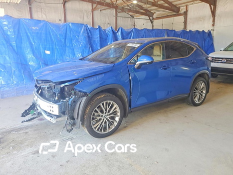 Lexus NX 2025 - Zdjęcie 1 z 13