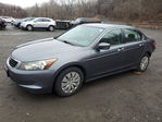 Honda Accord 2010