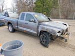 Dodge Dakota 2007