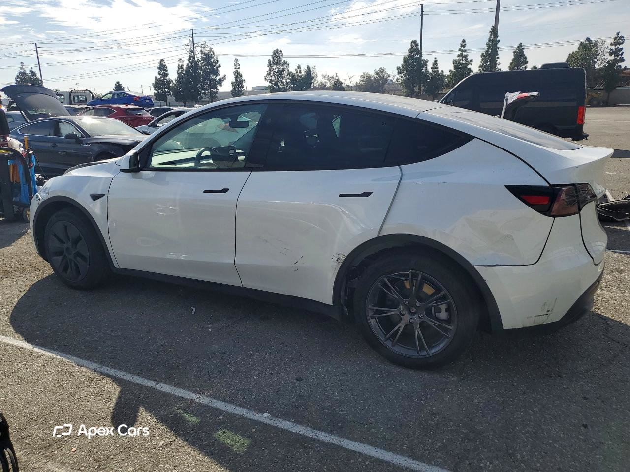 Tesla Model Y 2025