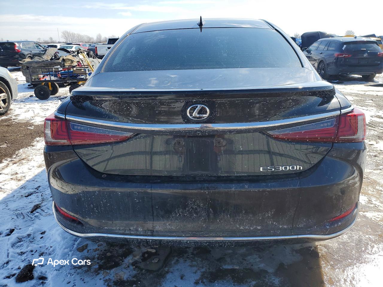Lexus ES 2023