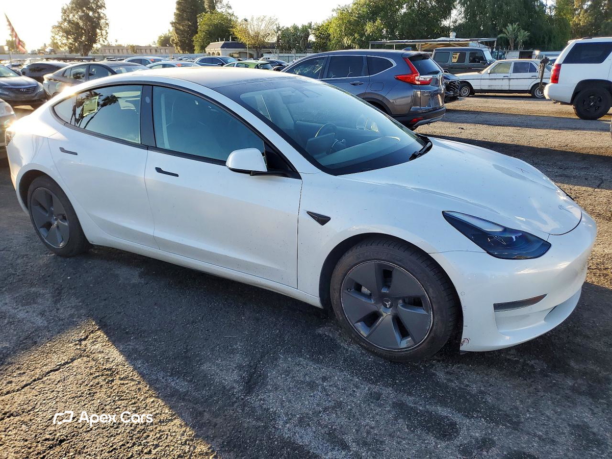 Tesla Model 3 2021