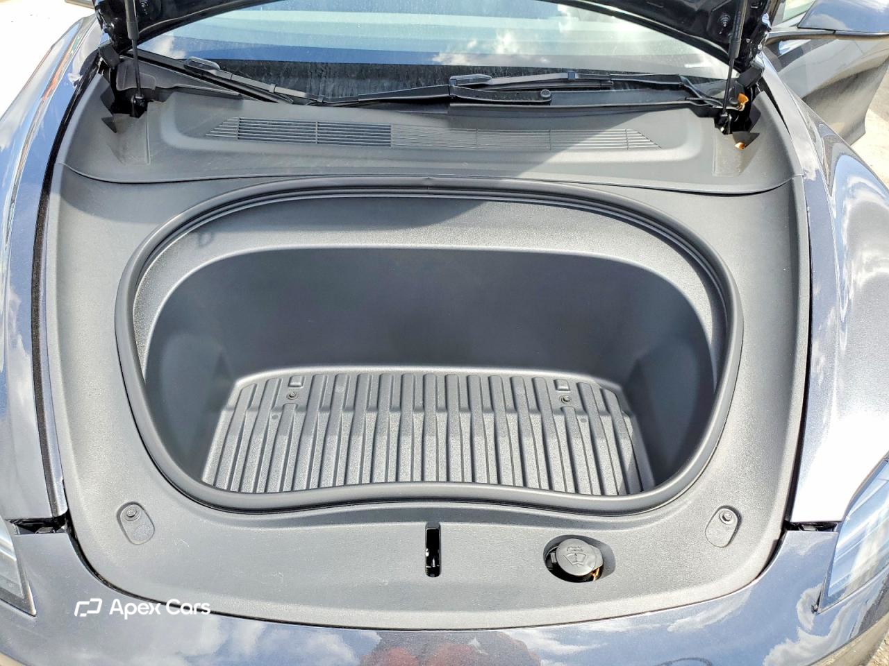 Tesla Model 3 2025