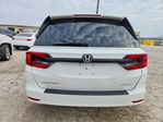 Honda Odyssey 2023