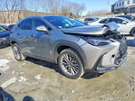 Lexus NX 2026