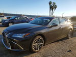 Lexus ES 2024
