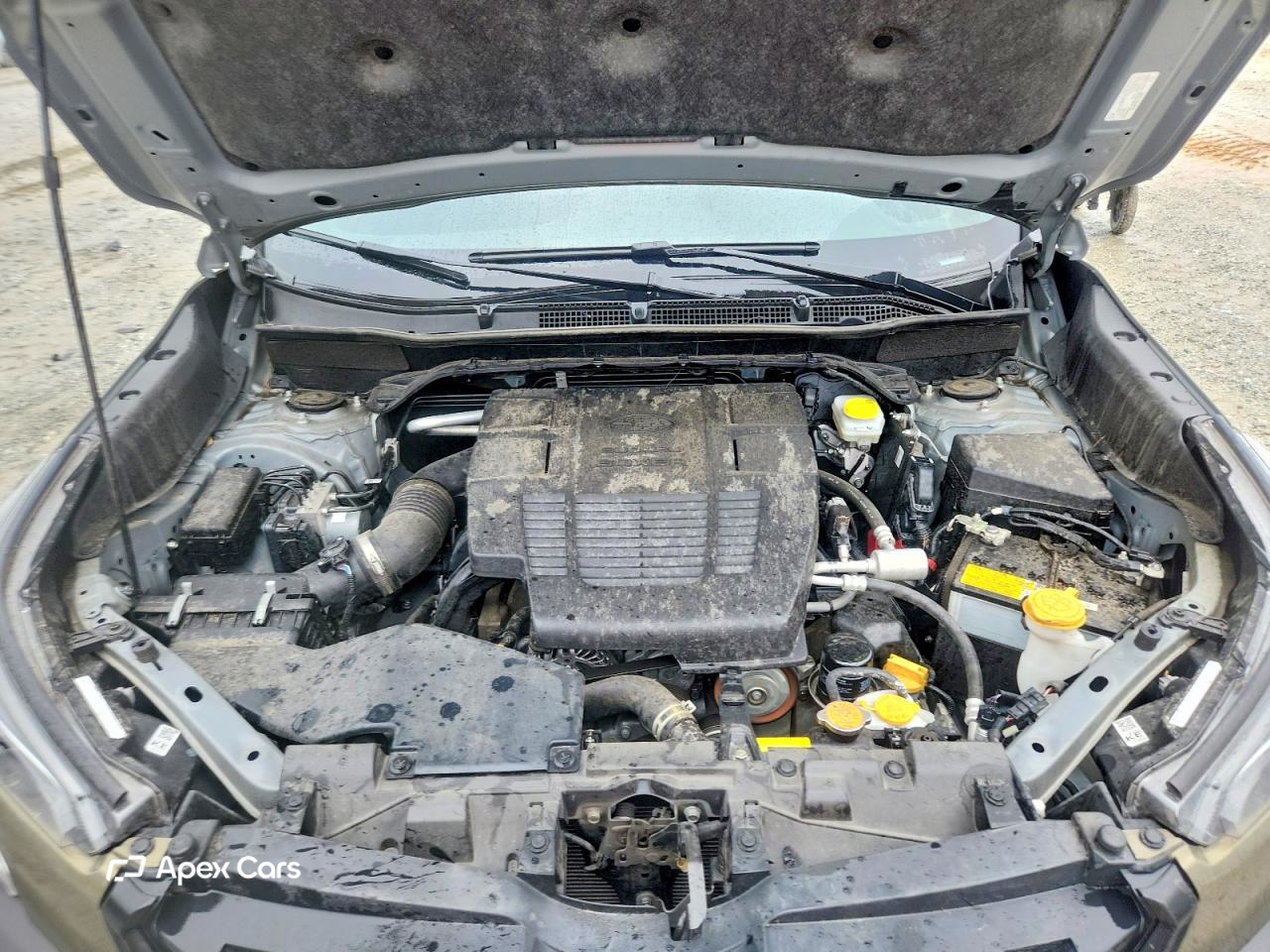 Subaru Forester 2024