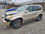 Lexus GX 2009