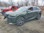 Lexus RX 2025