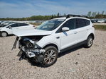 Ford Escape 2019