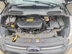 Ford Escape 2013