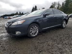 Lexus ES 2011