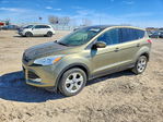 Ford Escape 2013