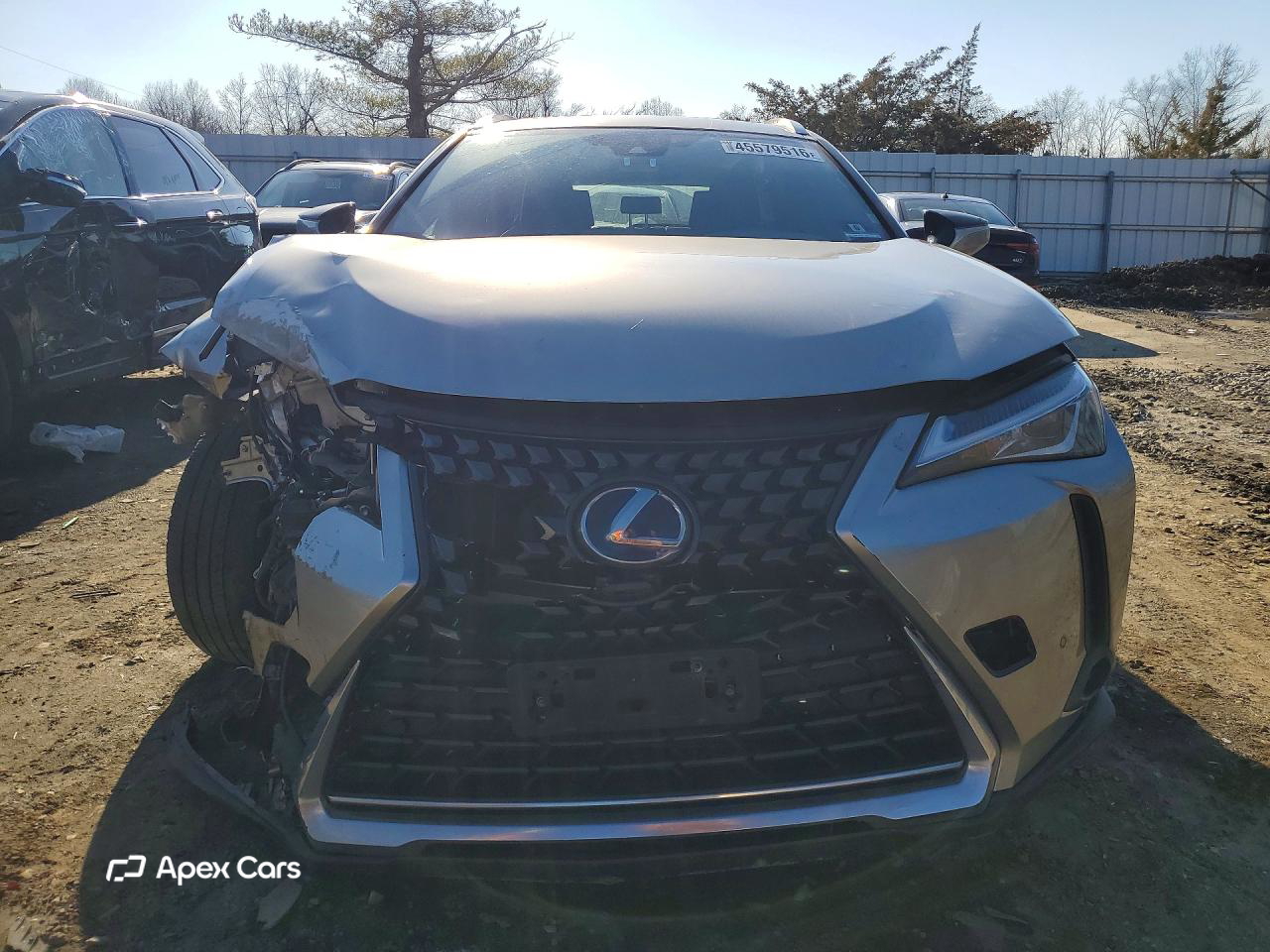 Lexus UX 2019