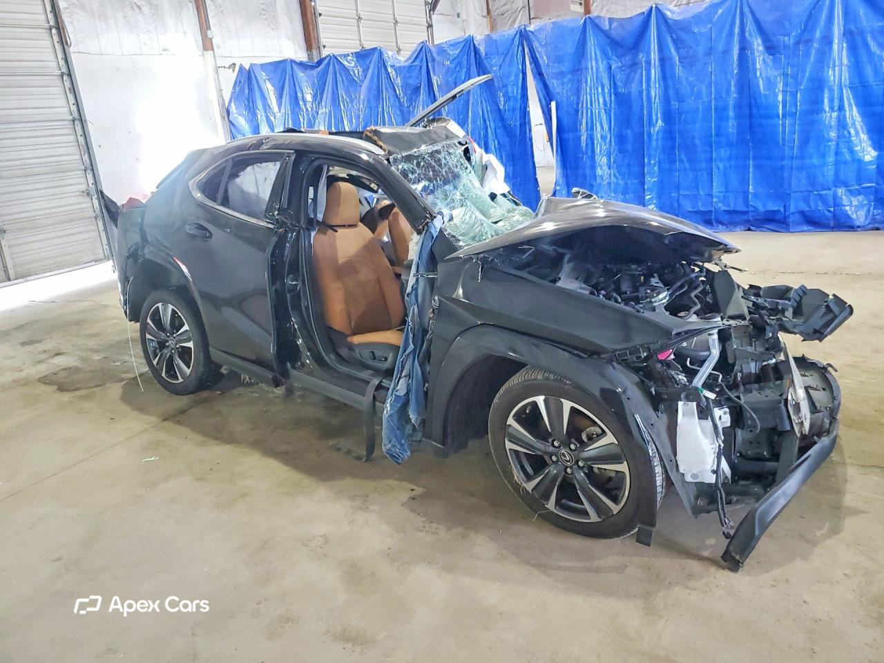 Lexus UX 2024