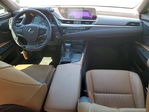 Lexus ES 2020