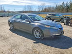 Acura TL 2011