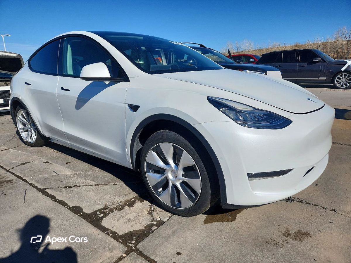 Tesla Model Y 2020