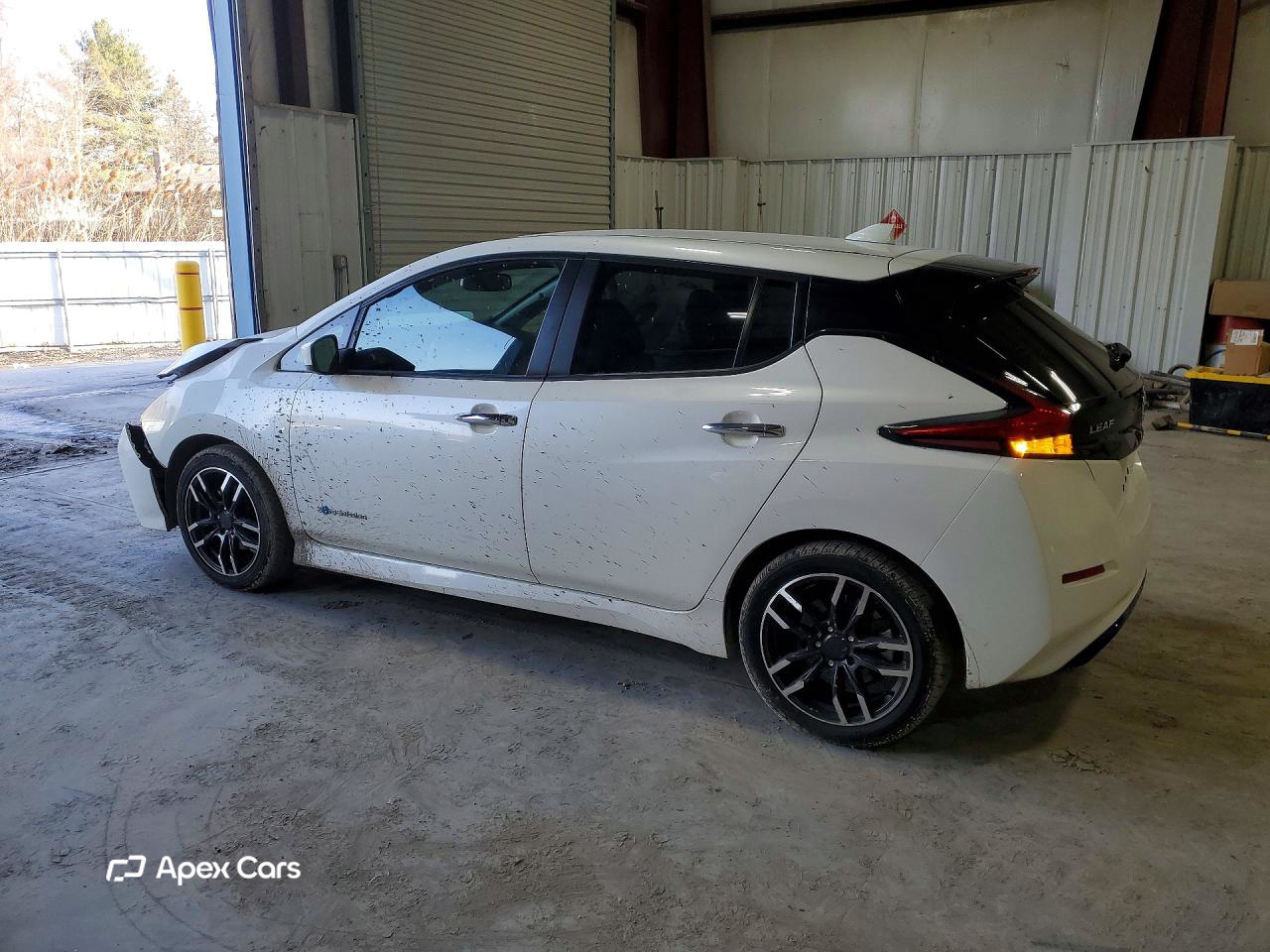 Nissan Leaf 2019