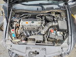 Honda Accord 2010