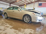 Lexus ES 2010