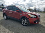 Ford Escape 2014