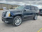 Cadillac Escalade 2013