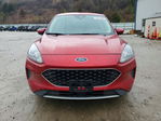 Ford Escape 2020