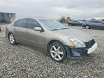 Nissan Maxima 2004